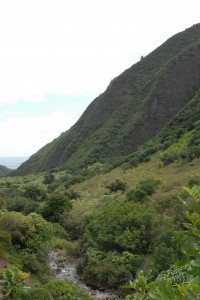 Iao State Park