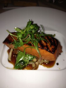 salmon