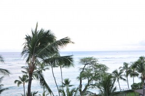 view from the Halekulani