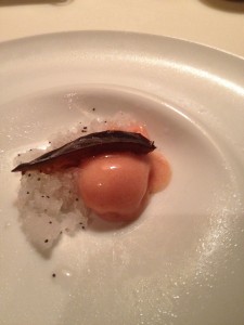 IMG_1901 plum sorbet