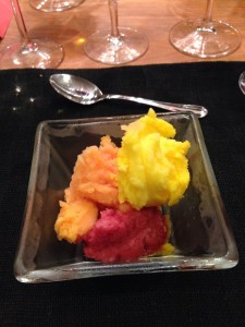 trio of sorbets