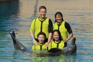 swimming with the dolphins in Atlantis Dubai