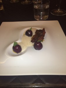 thai rabbit