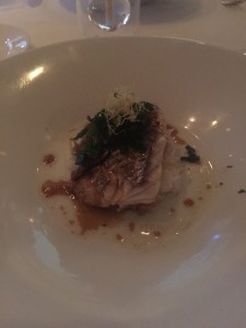 snapper
