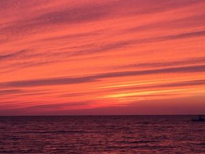 IMG_2190