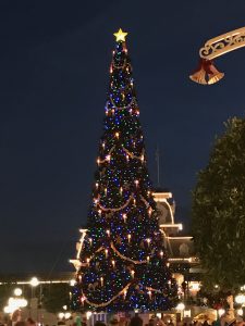 img_3544